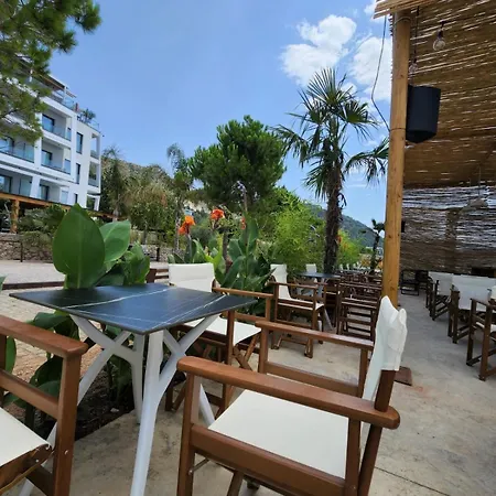 Stephen Seaside דרמי